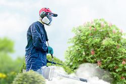 Обработка сада от паразитов - необходимые меры и их регулярность  в Нижнем Тагиле